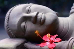 Hibiscus_Buddha