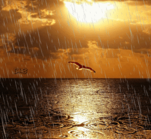 passaro_chuva_horizonte