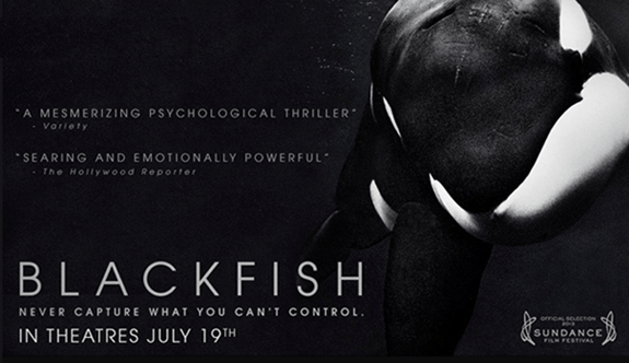 blackfish_documentary_banner