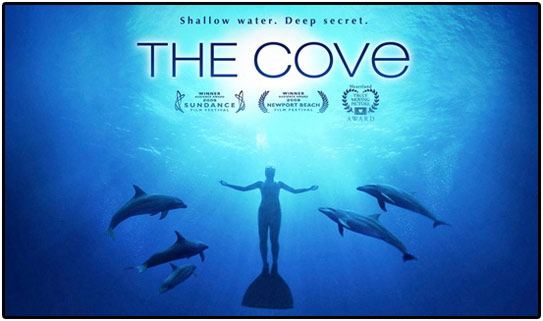 The Cove Original