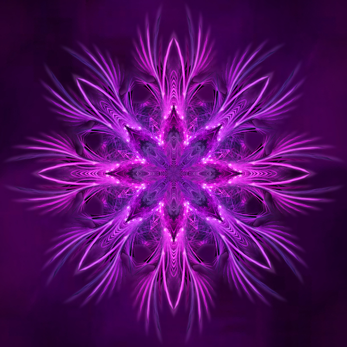Mandala_Nono Raio - Magenta