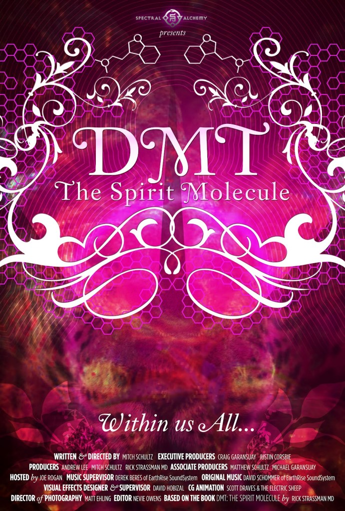 DMT_spiritual molecule