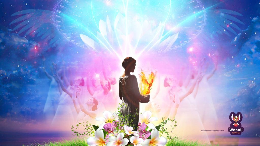 Wohali - wallpaper 4