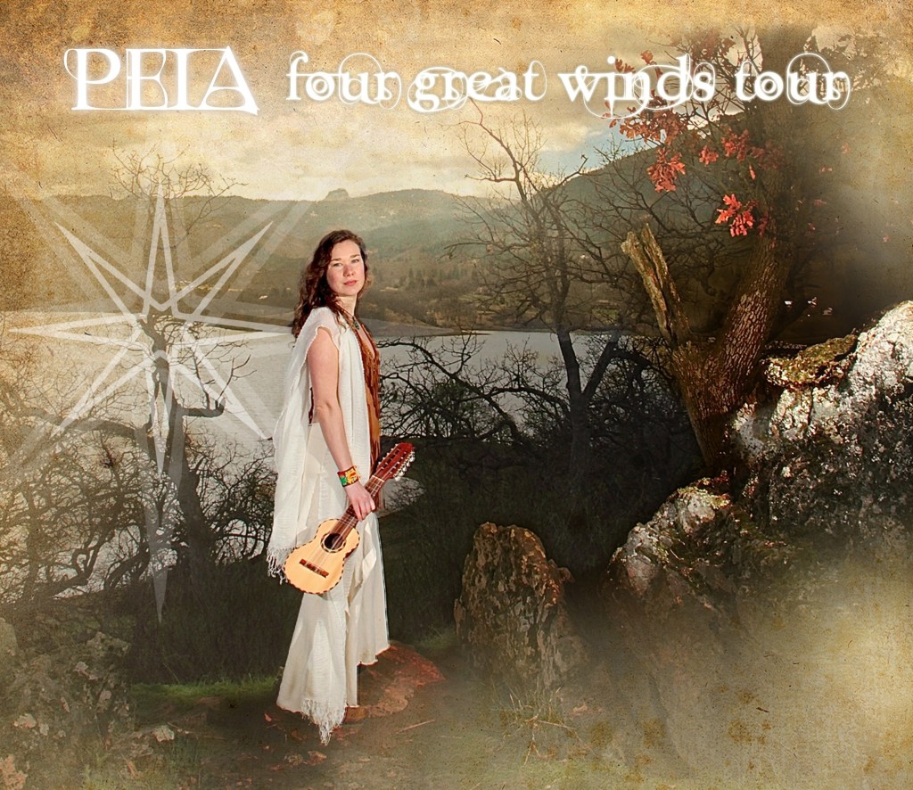 Peia4 Windwebsite-cover