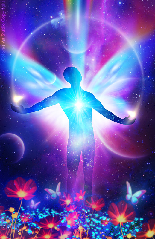 Campos floridos do cosmos - copyright