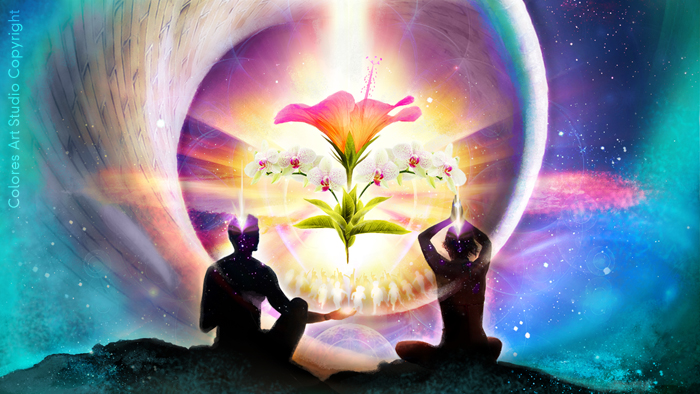 O alvorecer das flores - copyright